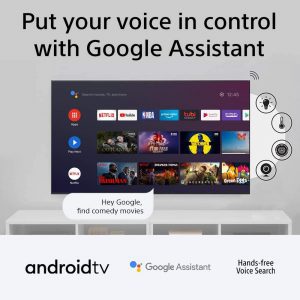 OLED TV with Google Assistant 
