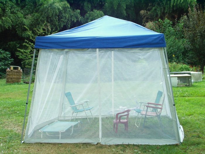 best screen tent