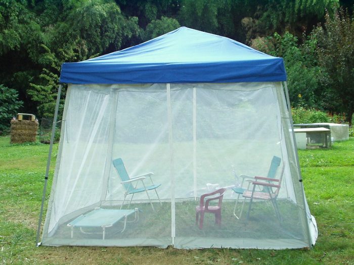 Screen tents are best when they're portable tents, Best screen tents featuring durable construction, ample ventilation, and easy setup for outdoor adventures and camping trips