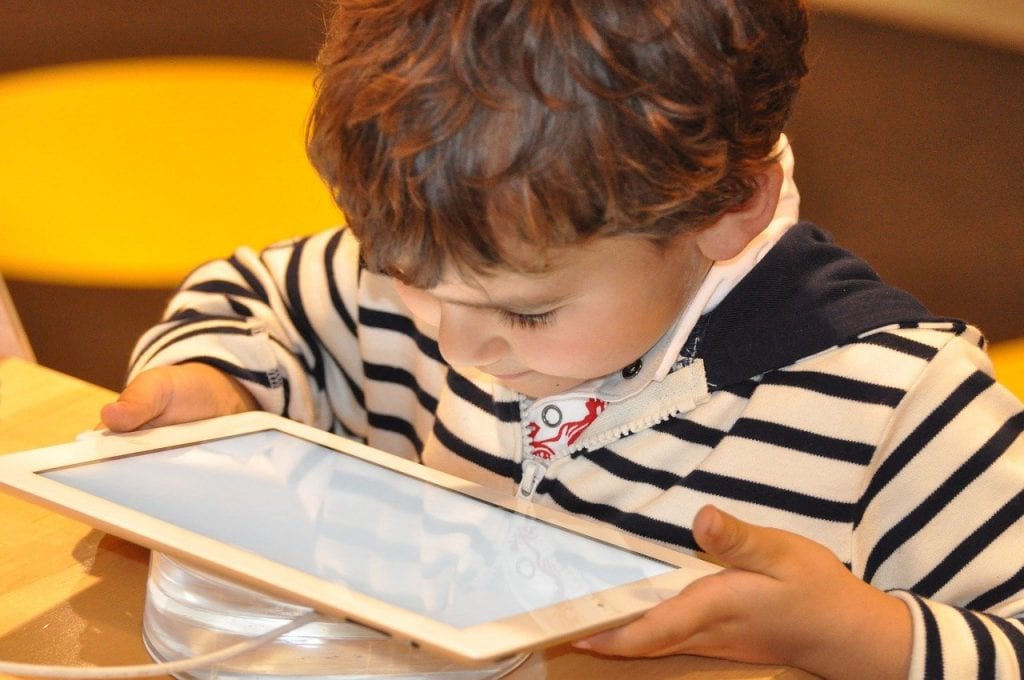 A child browsing the net.
