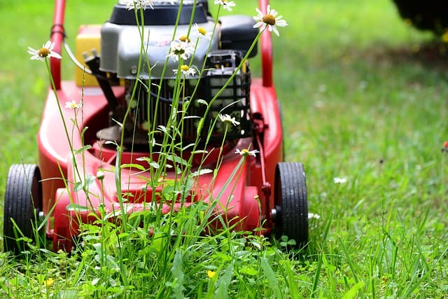 Reel mowers are powered entirely by the user. These reel mowers no need for gas, no cord to work around, and no noisy motor.