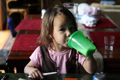A toddler with a cow's milk allergy is drinking Nutramigen formula using a sippy cup. 