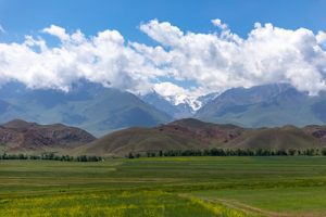 An overlooking view of the rice field and mountains. The sky is cloudy.