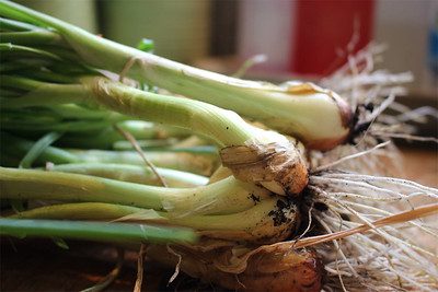Shallots to be cooked in an air fryer! Try this recipe at home.