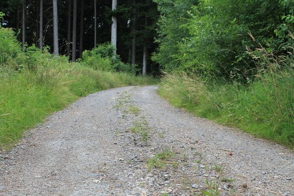 A gravel-path. Riding with you scooter with this might be uncomfortable. So, you have to choose a scooter that is designed specifically to gravel paths like this.