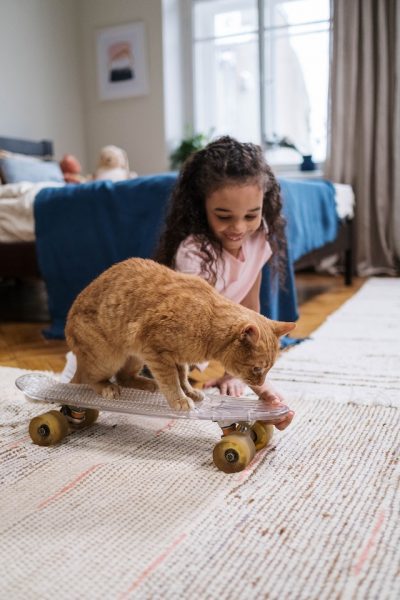 Little girl and cat inside the room playing with their penny. Longboards are good to introduce to kids at a young age. 